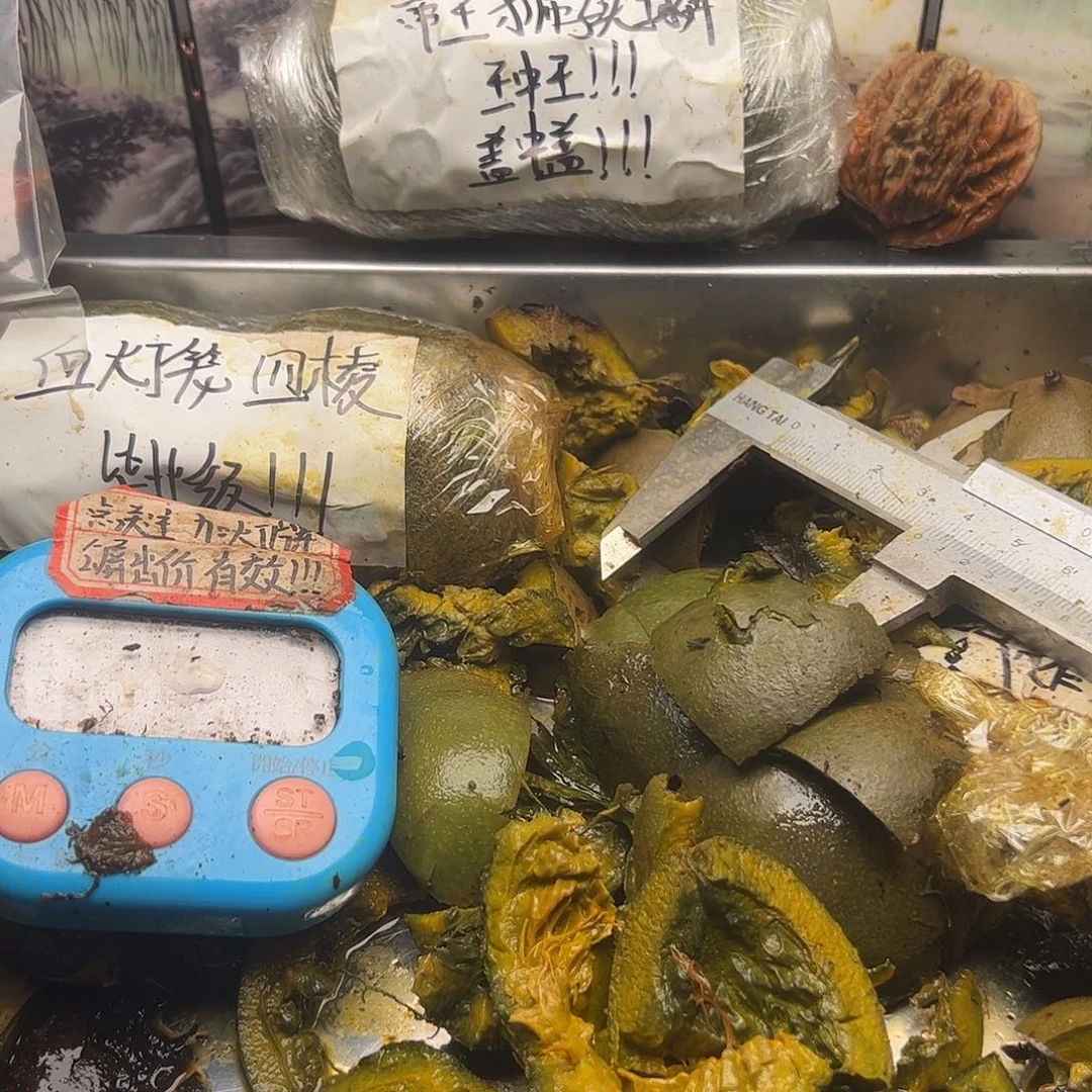 亲***走骨灰级艰难困苦姐姐