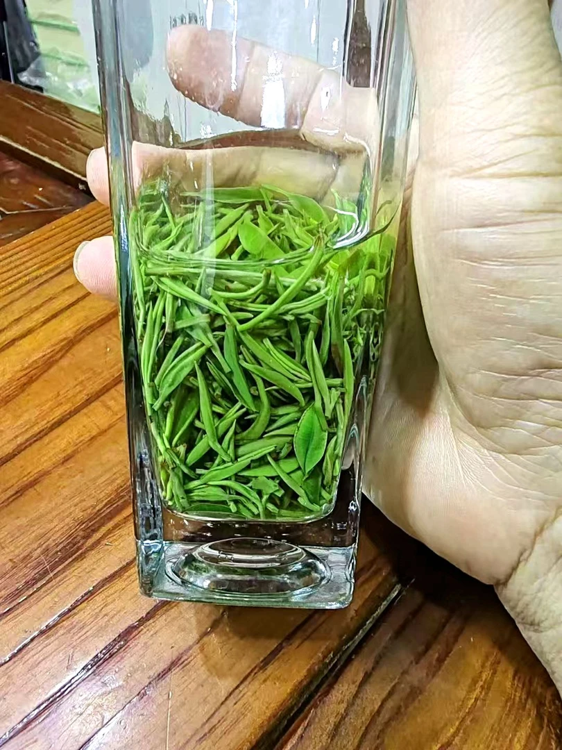 2025竹溪高山云雾头春头采明前毛尖绿茶精选[400]