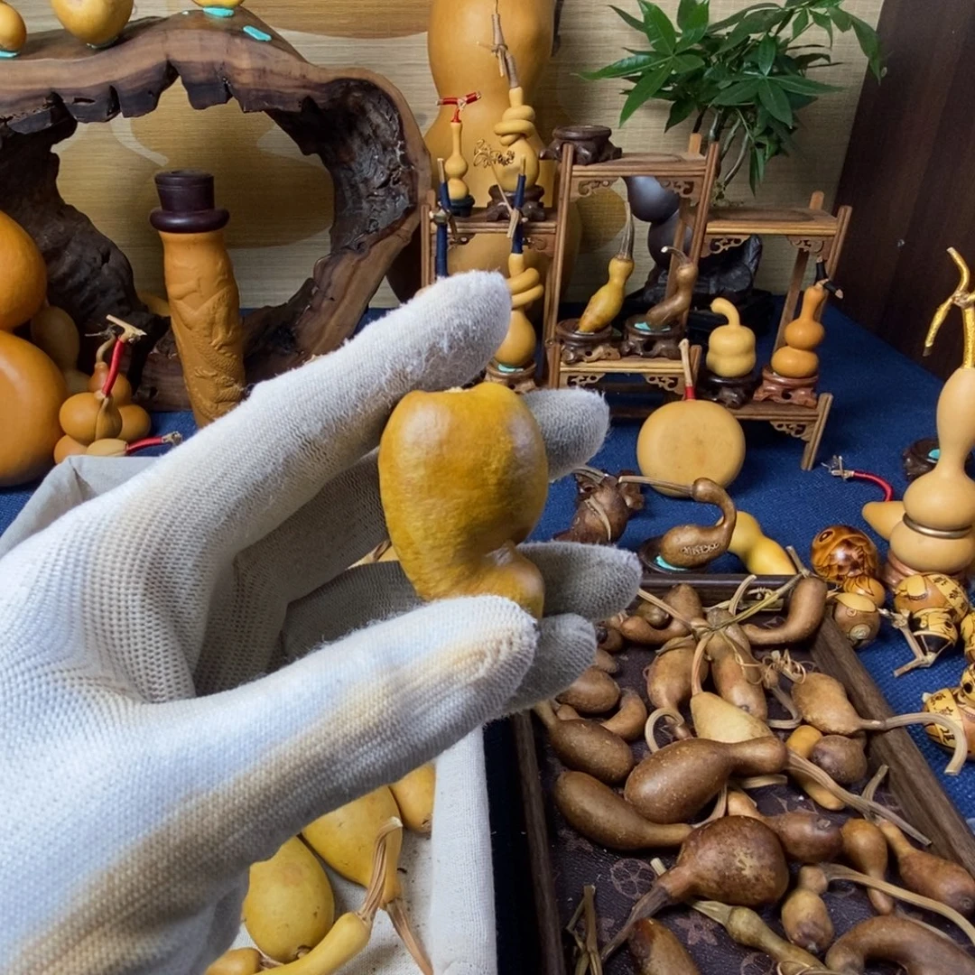 兔***子啦啦啦啦啦啦啦啦啦