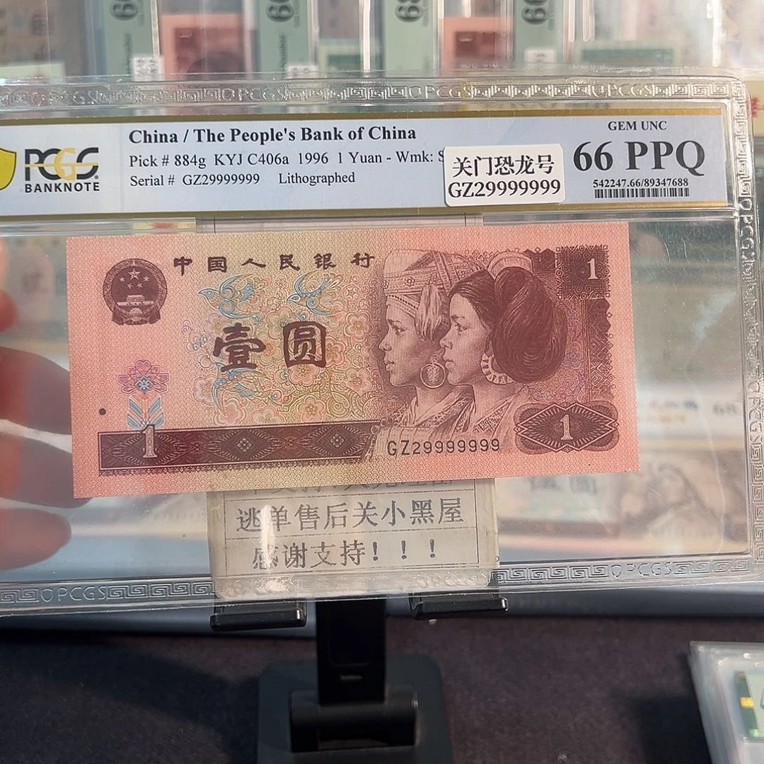 纸961关门恐龙号29999999