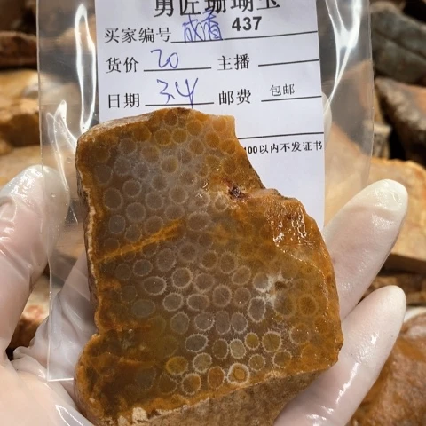 【闪购商品】硅化玉吊坠(不含链)未镶嵌成**宝