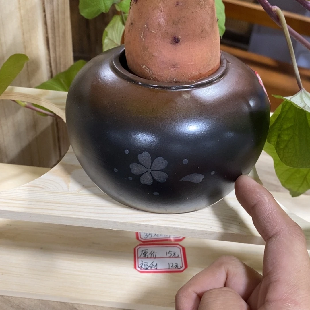 塑料这是拍一发四编号0081