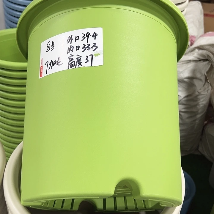 特价8号四季口39.4高37果绿无托3只