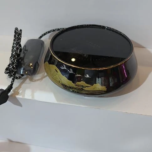 大雁南飞电陶茶炉1000W