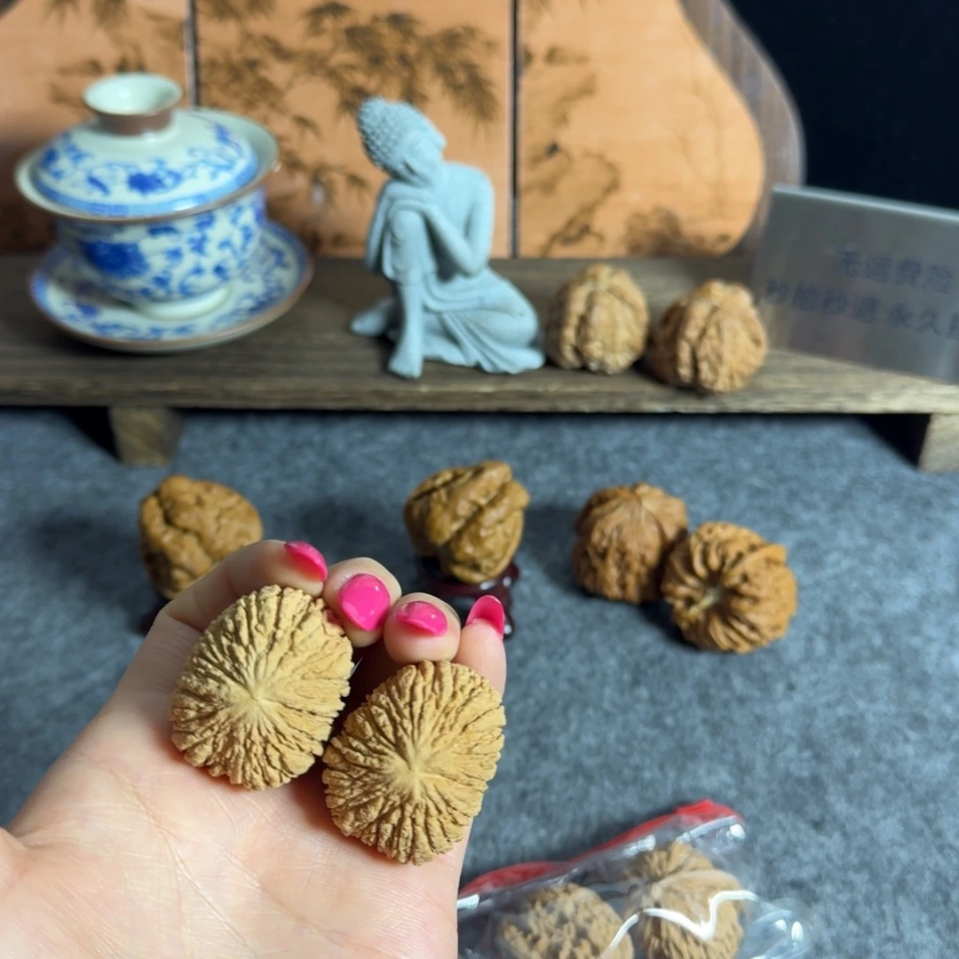 全品35金丝猴头元宝