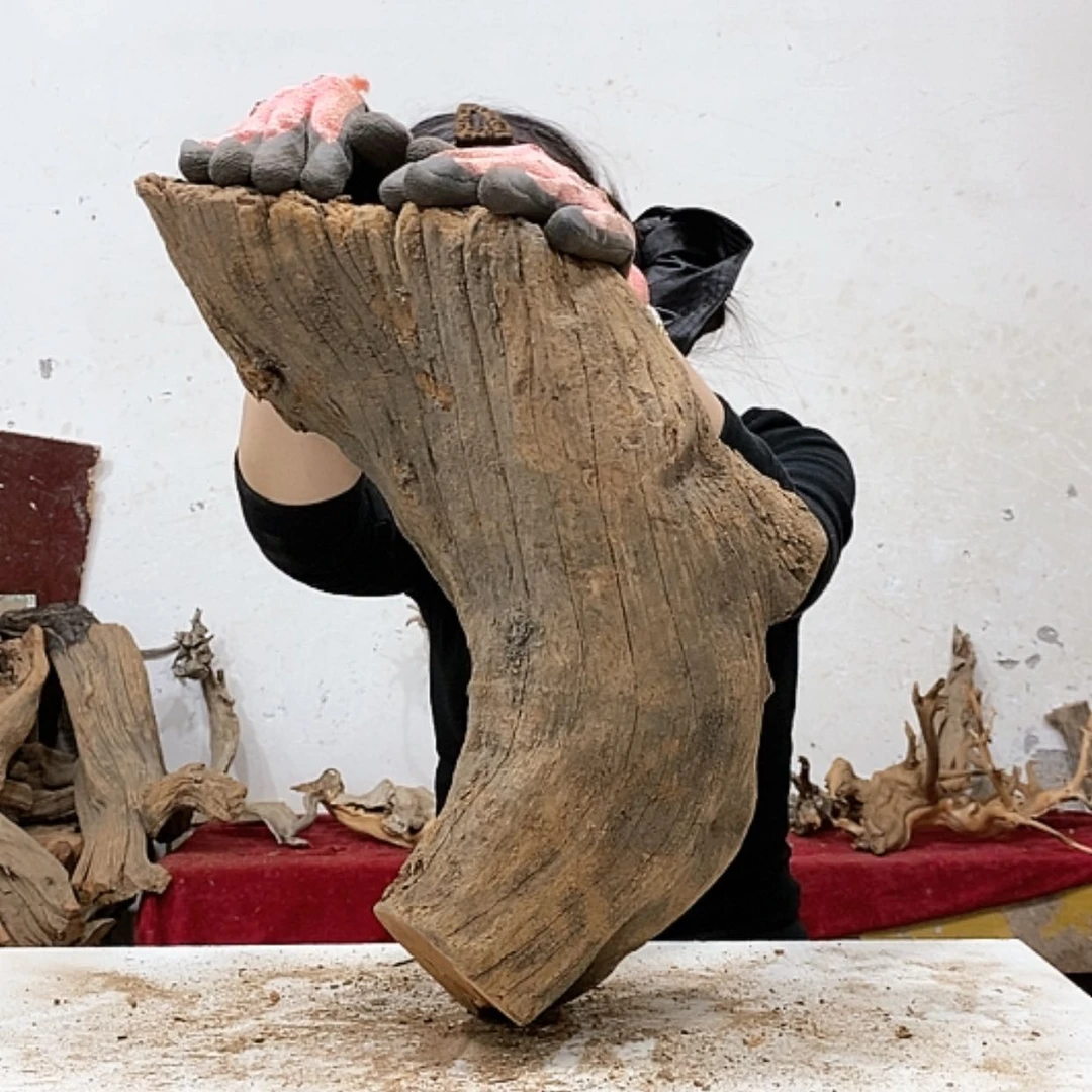 【闪购商品】柏木丽*人我们都是好孩子