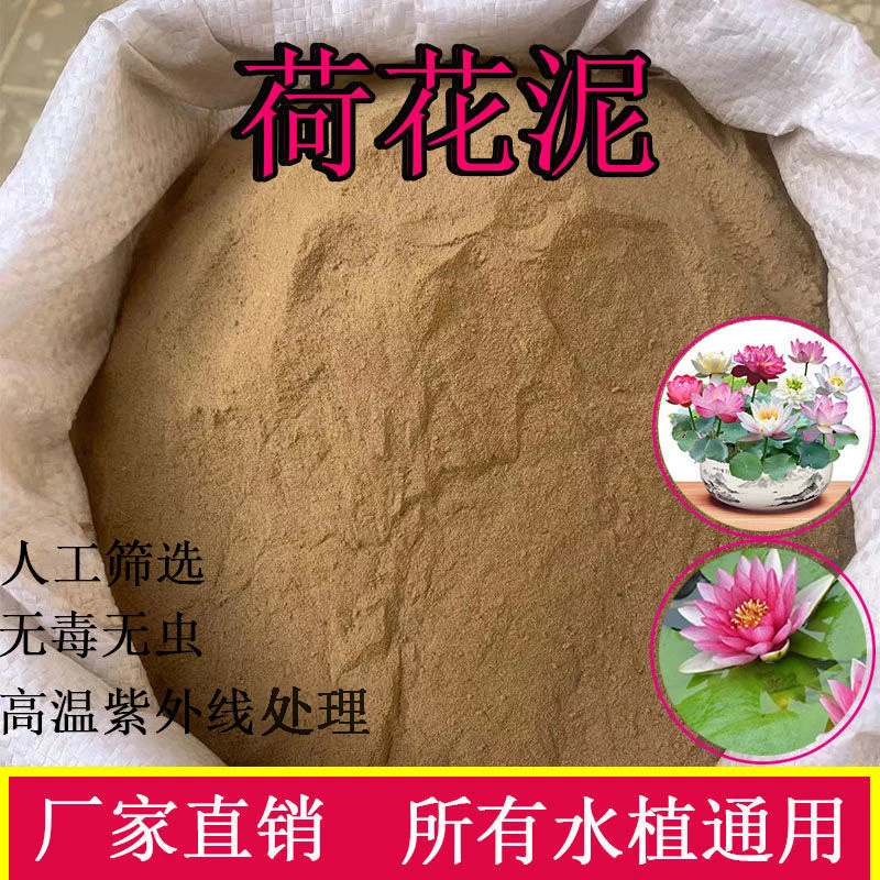 荷塘泥碗莲睡莲藕苗专用营养土水培植荷塘泥乌龟冬眠荷花子铜钱草