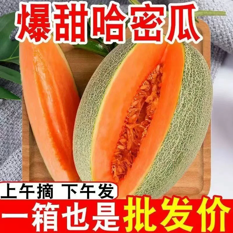 【巧云优选】甜蜜多汁哈密瓜西州蜜新鲜水果玫珑瓜西州蜜瓜