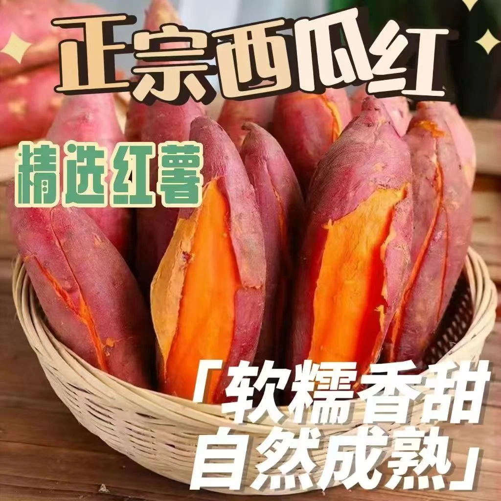 云南高山蜜薯红薯建水直发新鲜现挖西瓜红蜜薯地瓜5斤/3斤现发