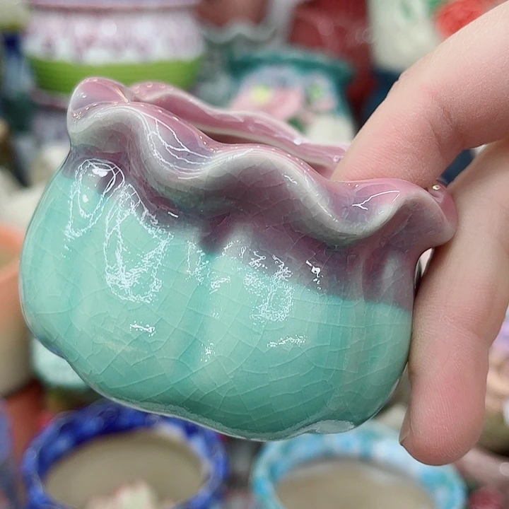 多肉植物陶瓷花盆