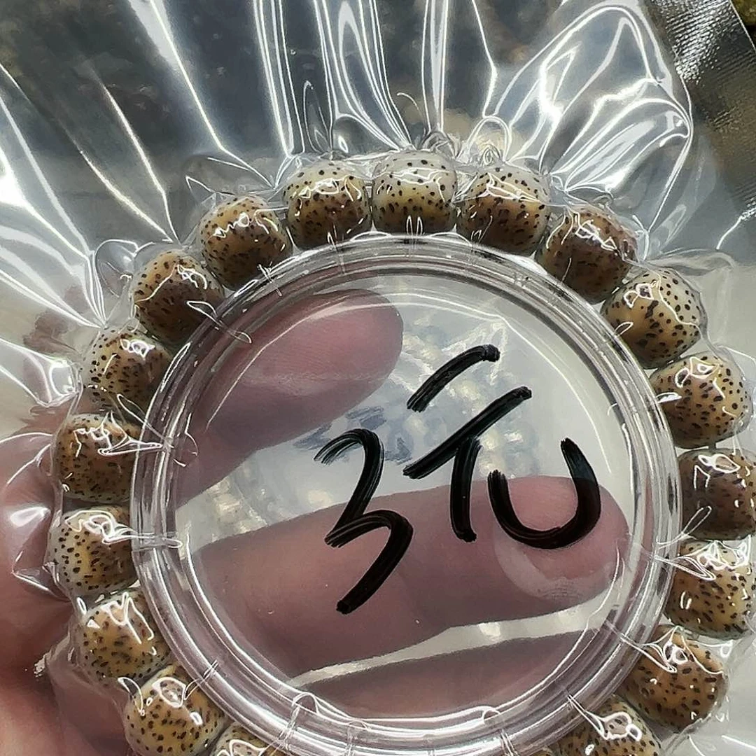 星月菩提手串2星月菩提单圈1.0
