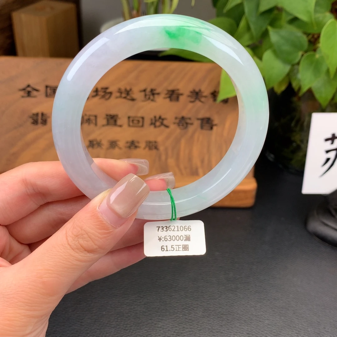 翡翠手镯未镶嵌一手正圈61.5点翠