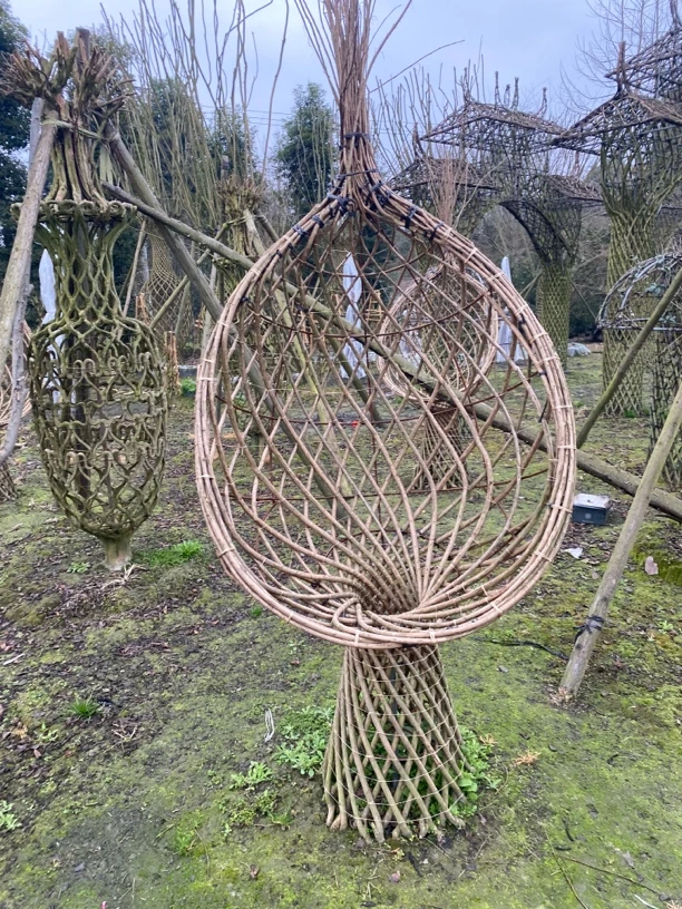 四川川红紫薇造型蜗牛椅紫薇树百日红开红花夏赏花冬赏骨