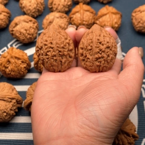 橄榄核手串/手链大蒜头37全品