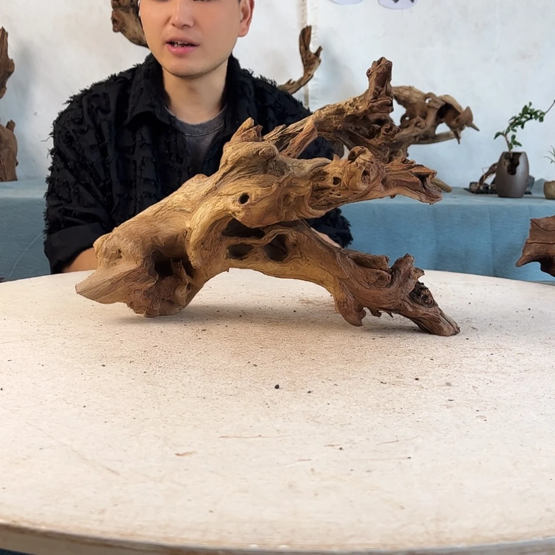 周末福利沉木造景