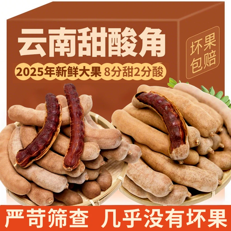 甜酸角精选新鲜大果正宗云南酸角甜角罗望子高膳食纤维孕妇零食