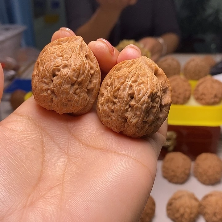核桃37尺寸的金钱豹