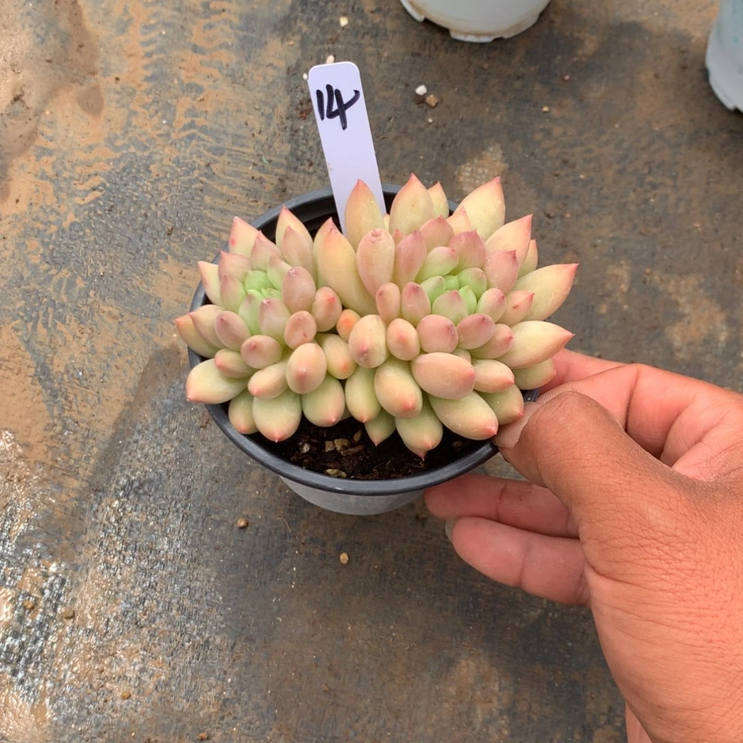 我在上课一看到信息了在