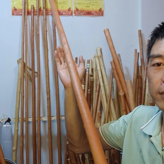 王***祥秦岭石山红荀子，牛筋木