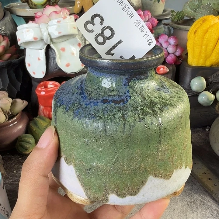 重庆小燕子欢迎大家183