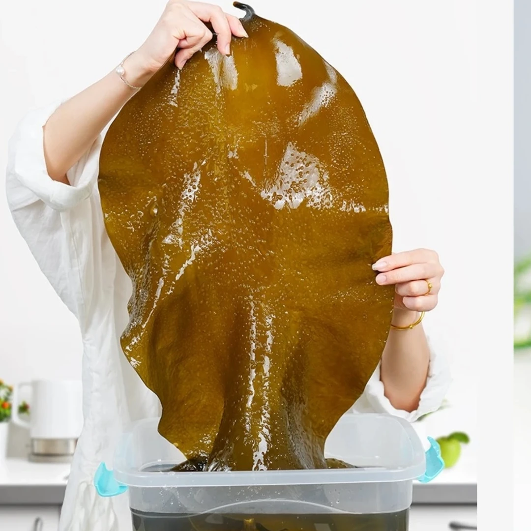 无沙大海带链接 5斤