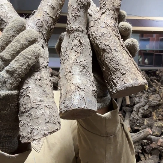 香榧木财*L火琉璃的毛料摆件