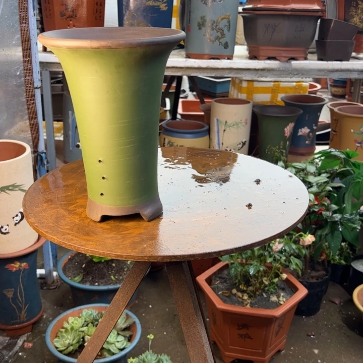 一念花开绿色大号