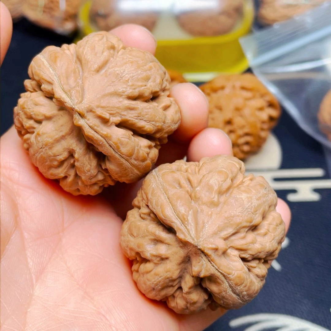 吊坠文玩核桃霸王龙