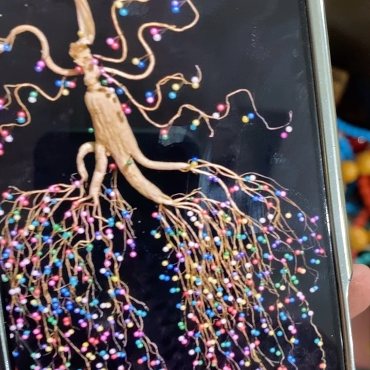 紫砂————————————————————