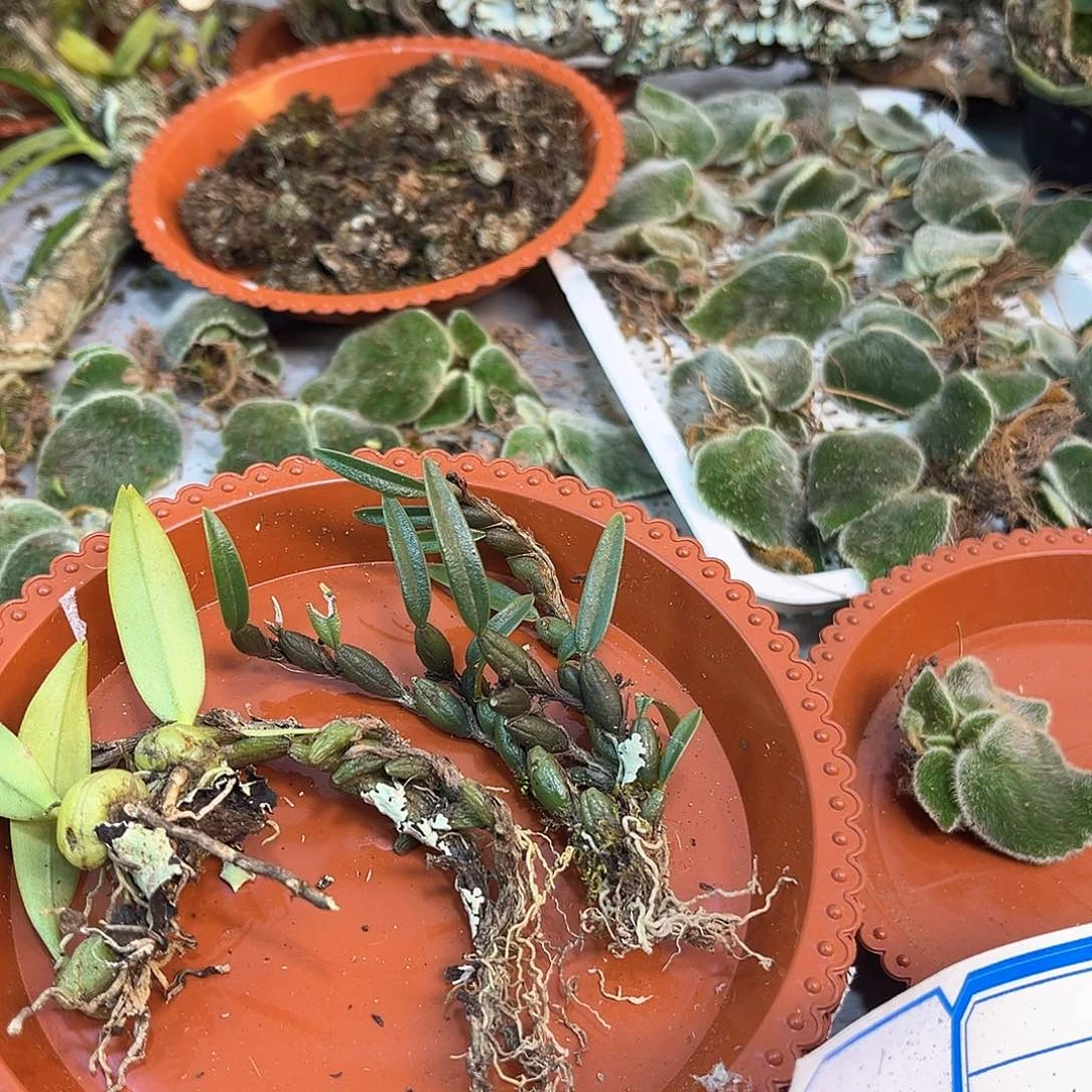 王***120。。。。。。。。。。。。。