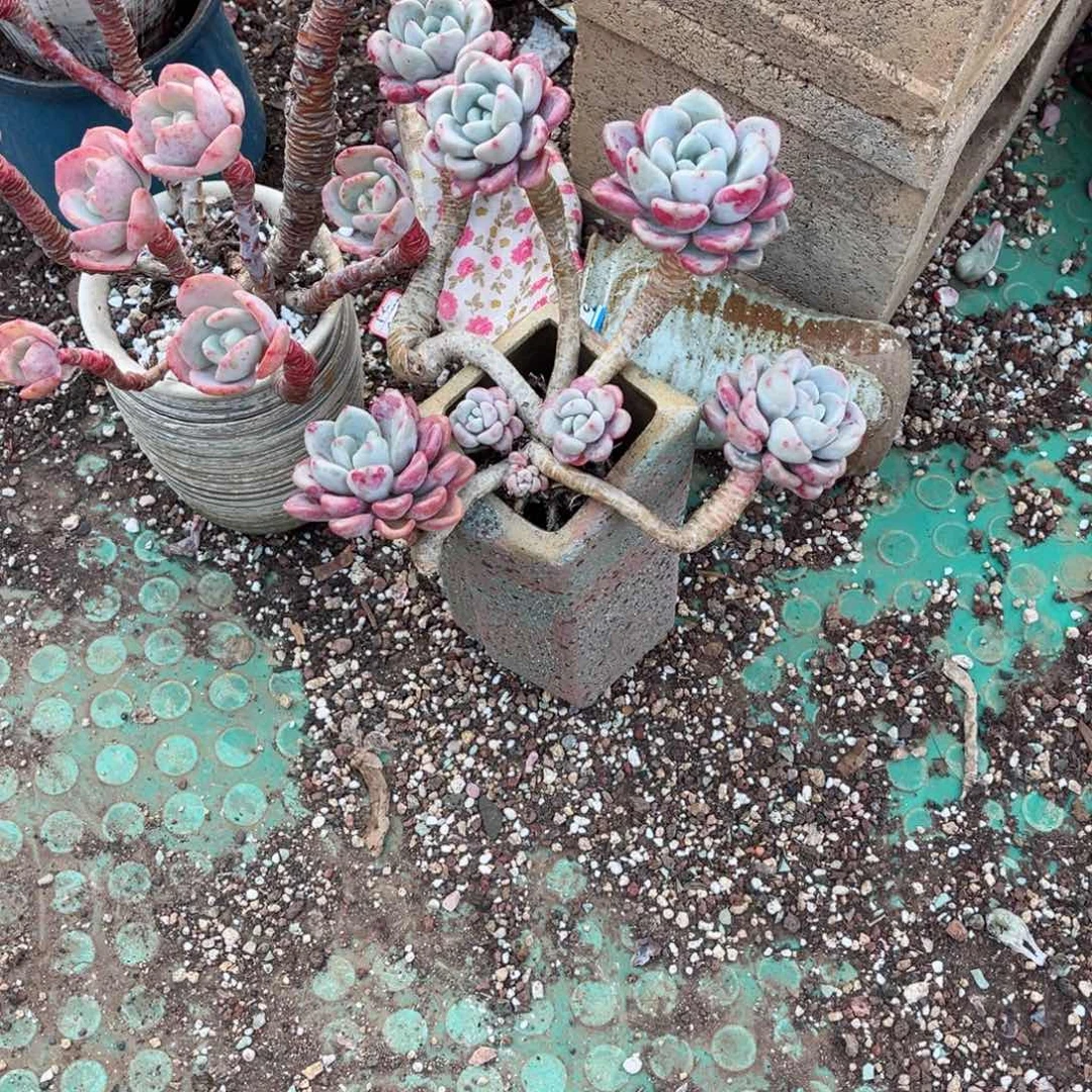 在这样下去真的会被气