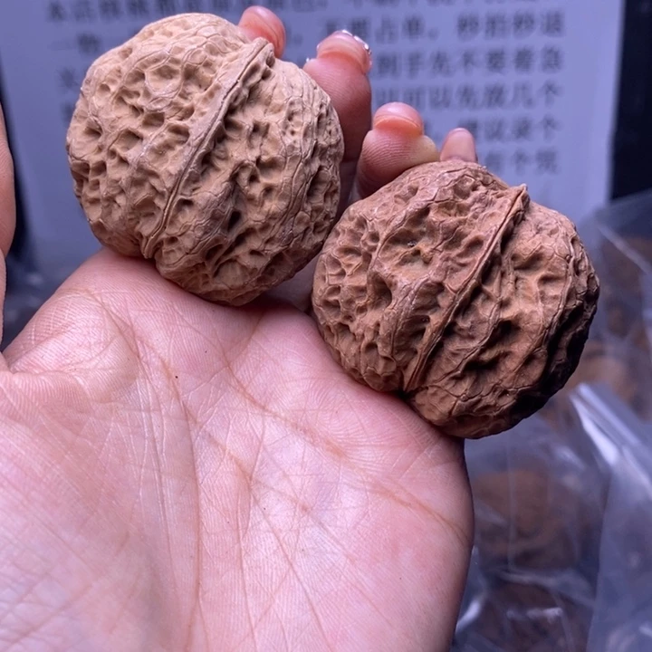 核桃云南野生铁核桃169号44mm