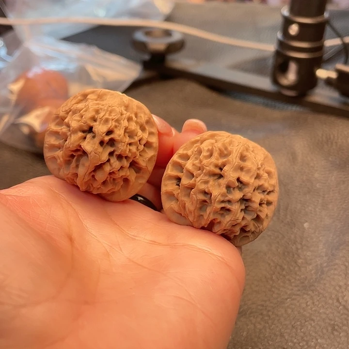 文玩核桃把件牛****甜秦闷