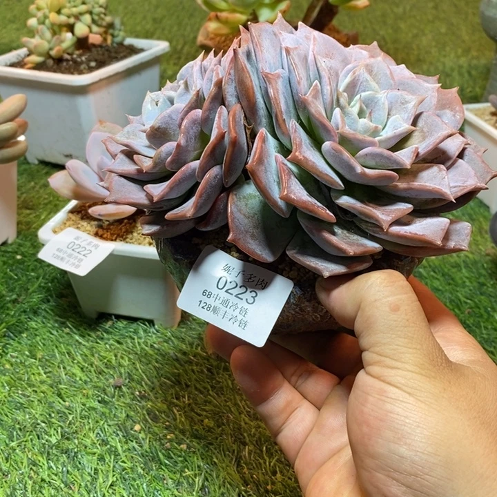 0223啊啊啊啊啊啊啊啊啊啊