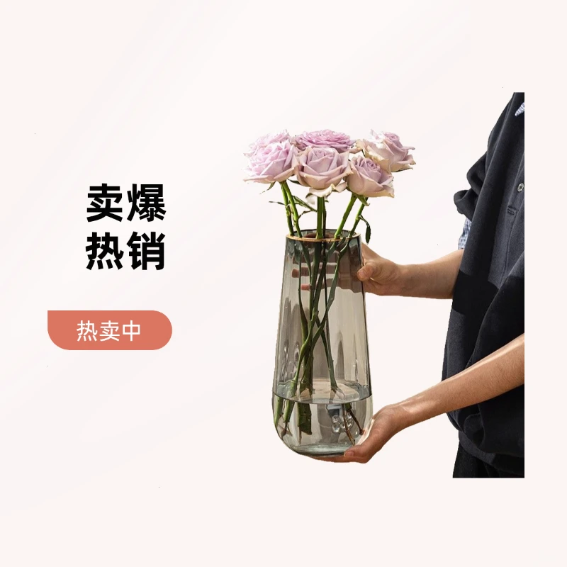 轻奢玻璃花瓶大口径透明水养富贵竹鲜花ins风客厅插干花装饰摆件