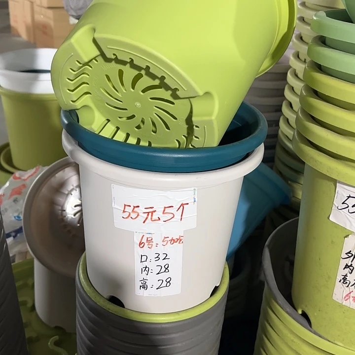 微瑕6#口径32无托果绿5个