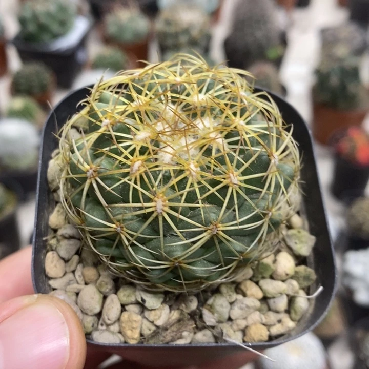 实生儒衣特价福利