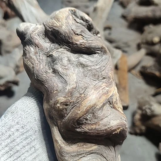 柏木崖柏工艺品坨子崖柏