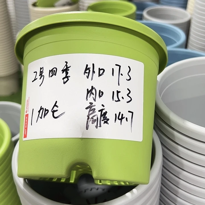 特价2号口17.3高14.7白色10只无托