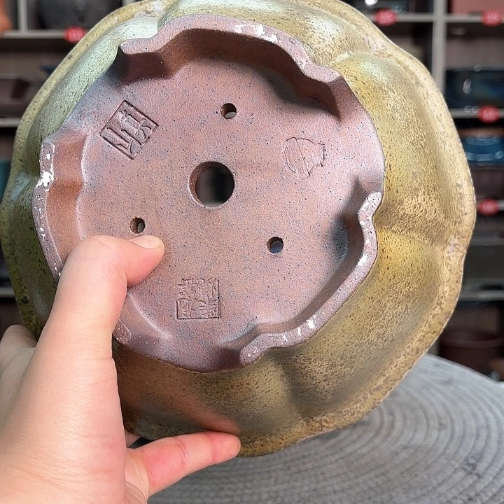 紫砂花盆树*紫砂的味道很好