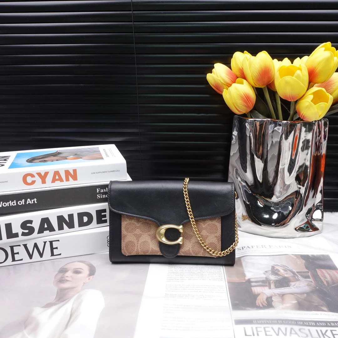 95新 COACH/蔻驰 单肩包/T10231031