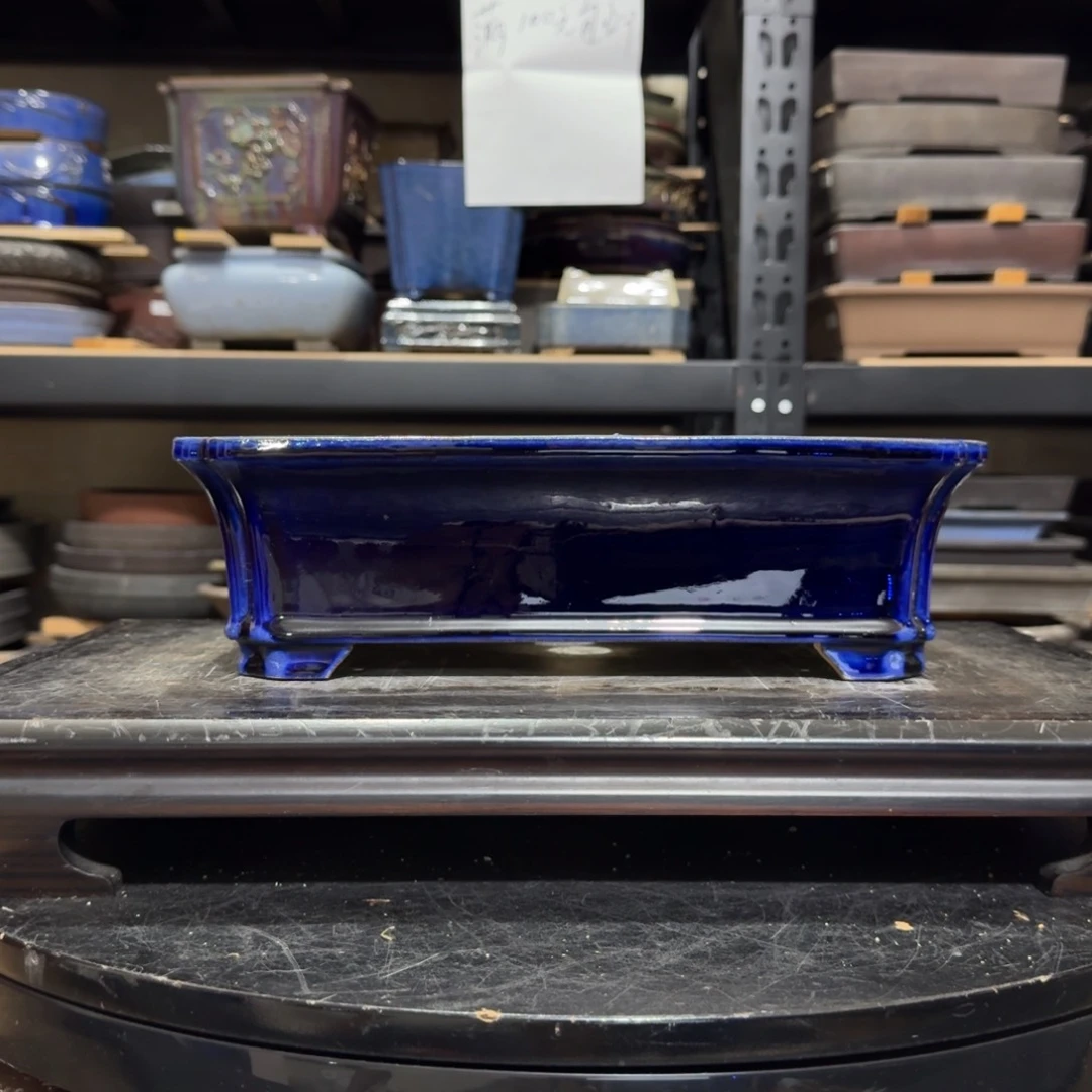 小***辉fghjvvvhhgvghbhhhhgvvbvv