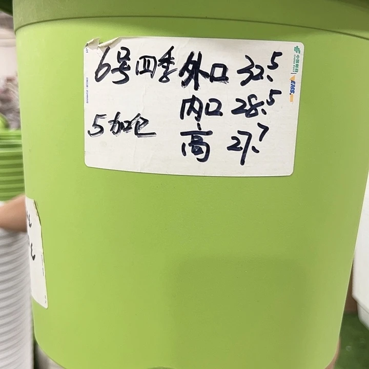 特价6号四季口32高28混色5个无托