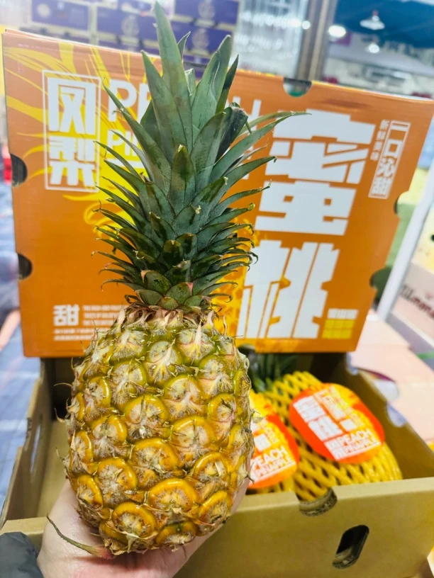 蜜桃凤梨3个5斤装
