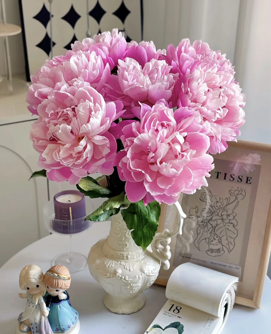 红粉混搭6支基地直选格桑花大花苞