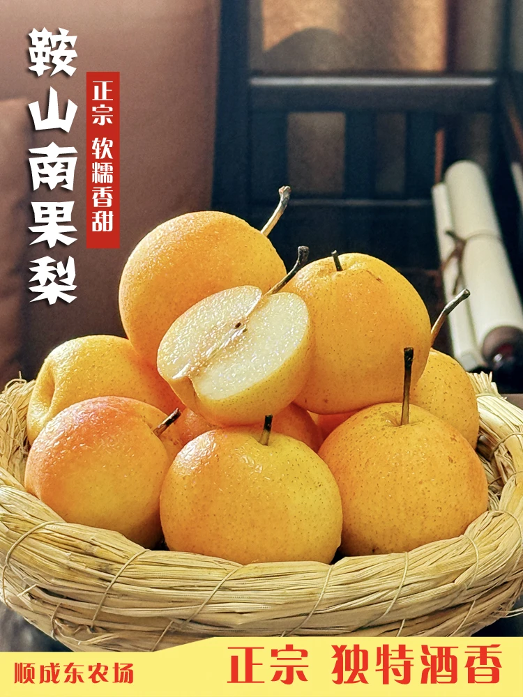 正宗鞍山南果梨大屯英不落南果梨软糯香甜五斤包邮