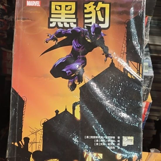 黑豹平装库存书库存书