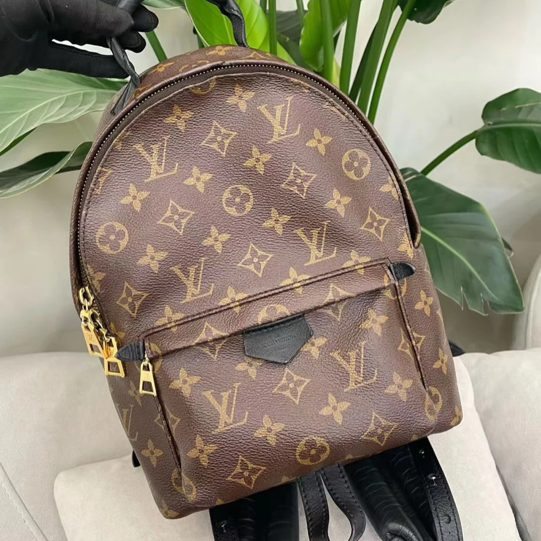 95新 LouisVuitton/路易威登 老花小号双肩包
