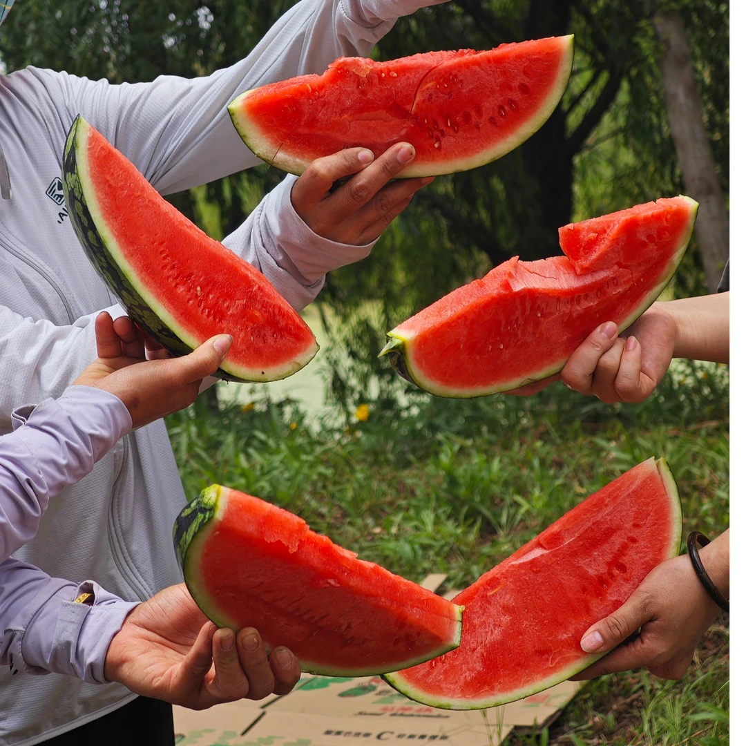 【顺丰】桉桉妈 盐城甘美4K脆甜可口