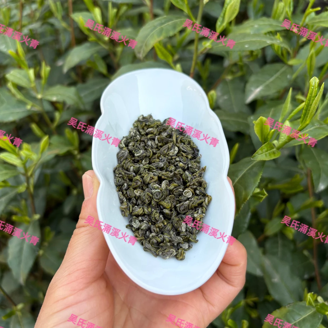 （明后）2025新茶涌溪火青大柳叶种花香型醇厚馥郁原产地茶农直销